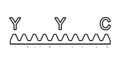 臺灣YYC